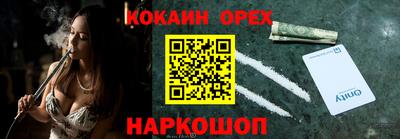 стафф Гатчина