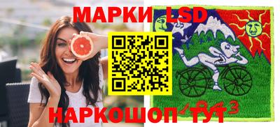 стафф Гатчина