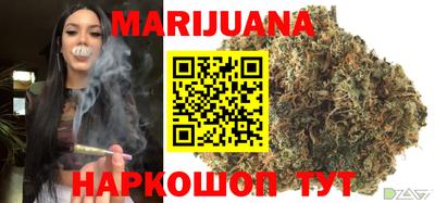 стафф Гатчина
