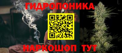 стафф Гатчина
