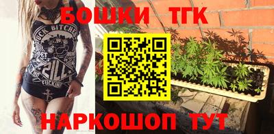 стафф Гатчина