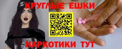 стафф Гатчина