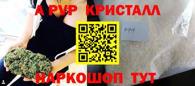 стафф Гатчина