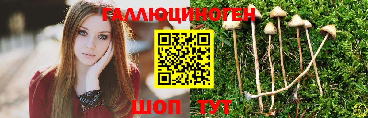 Орехово-Зуево  Псилоцибиновые грибы мухоморы  Вход с VPN  Галлюциногенные грибы ЛСД 